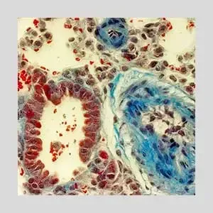 Topic7 Image