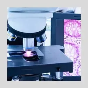 Topic1 Image