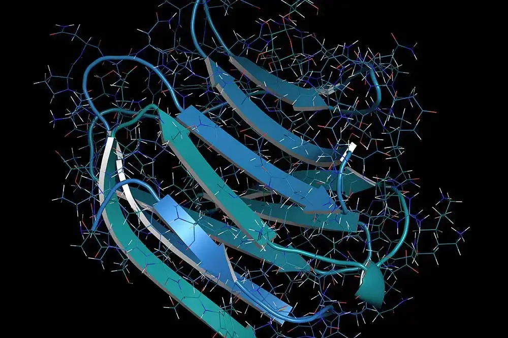 Lectins image 3 1000x677