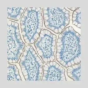 Topic5 image