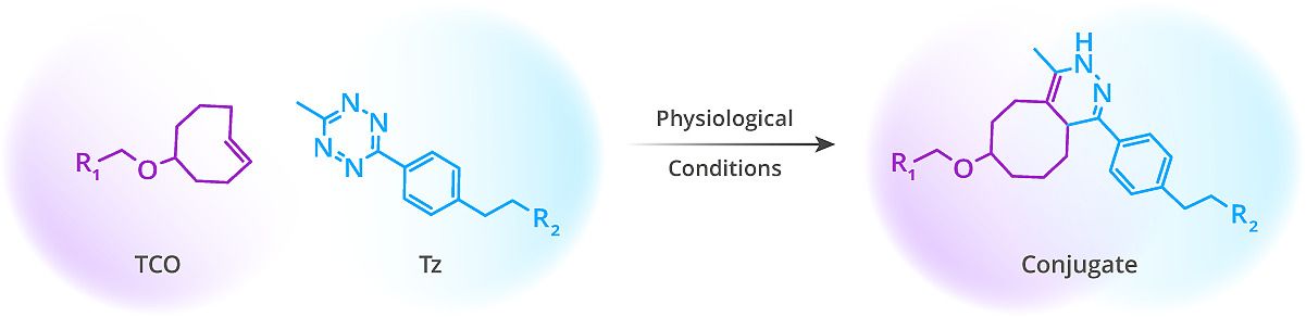 Tco tz ligation reaction