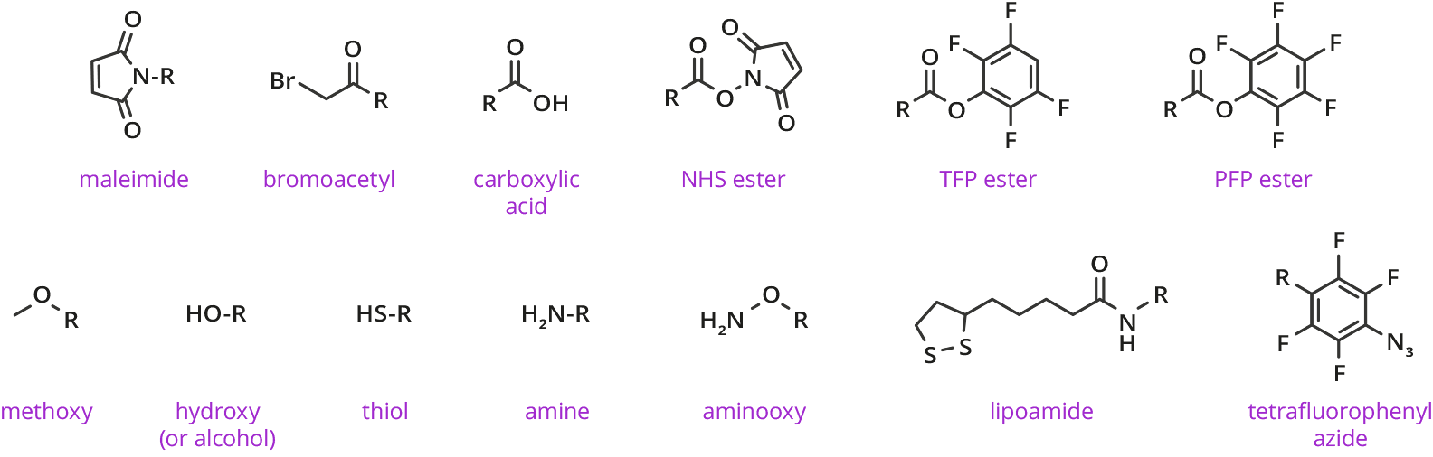 functional reactive groups dpeg