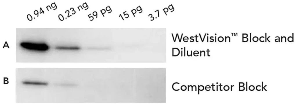 SP 7000 1600 2 2