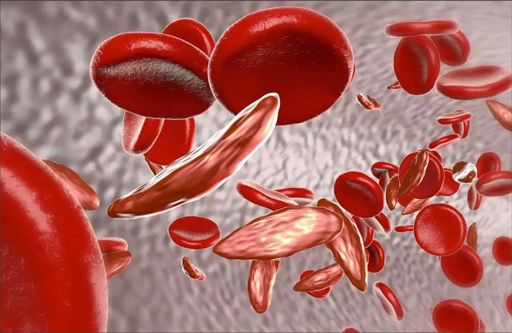 RedBloodCell
